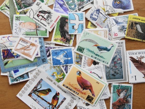 画像1: 鳥切手100枚入りパケット  (1)