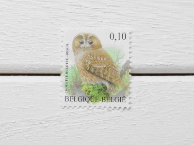 画像1: ベルギーの切手：モリフクロウ