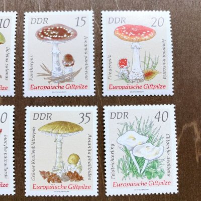 画像3: 東ドイツ：きのこ切手　８枚セット