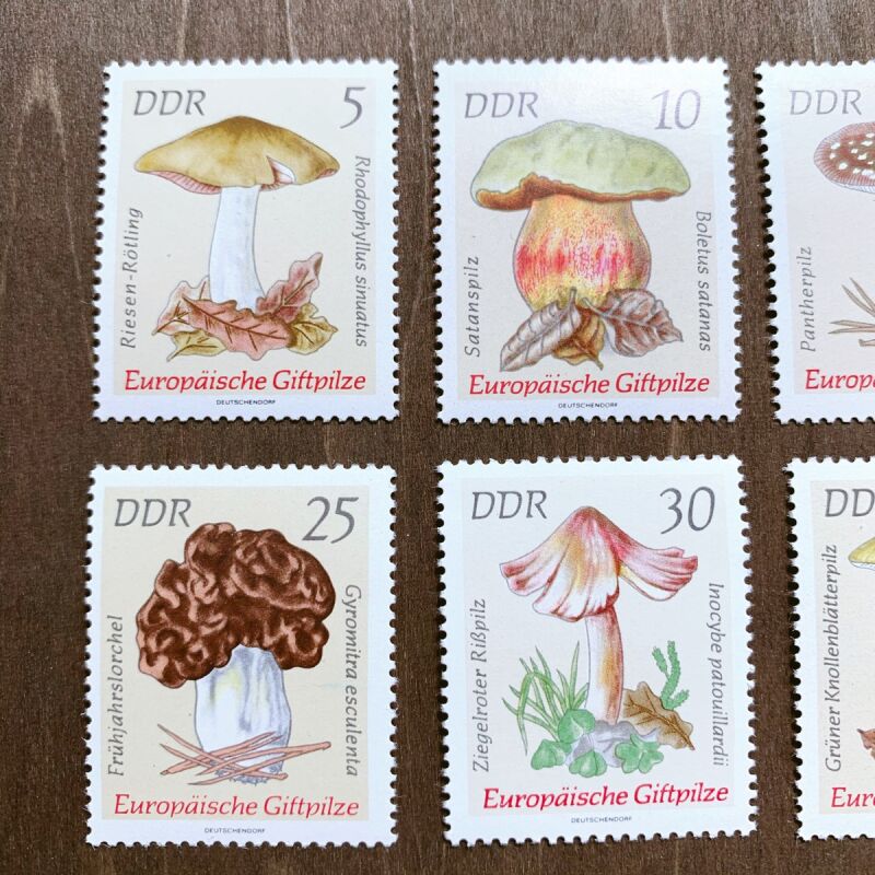 mieze* 外国切手 東ドイツ：きのこ切手 ８枚セット